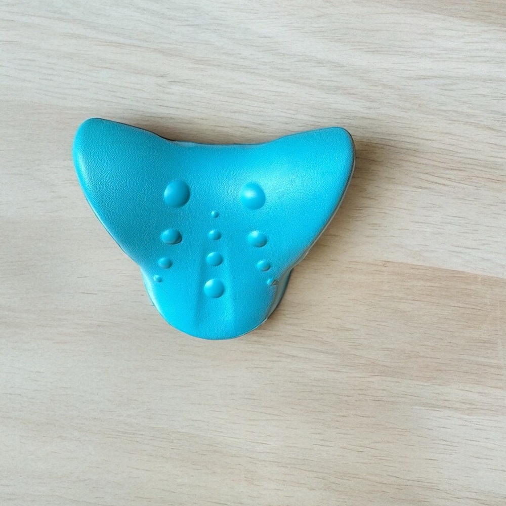 Blue back cracker